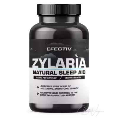 EFECTIV Zylaria™ Sleep Ai |Gamma-Aminobuttersäure (GABA)%separator%%shop-name%%separator%%price%