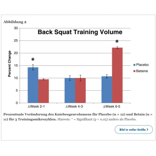 TMG 1000mg 120 Tabl.