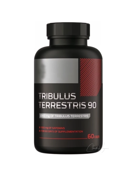 Tribulus Terrestris 90 % – natürlicher Testosteron-Booster mit 900 mg Saponinen pro Kapsel