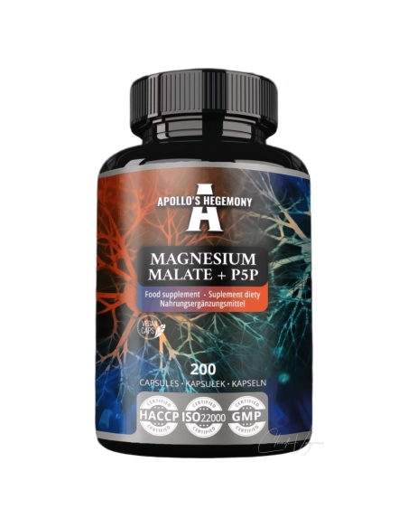 Magnesium Malat + P-5-P – Energie, Regeneration & ATP-Unterstützung