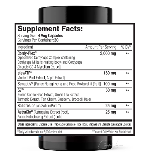 ReVO2 Wirkstoffe pro Tagesdosis – Cordy-Plex 2000mg, elevATP 150mg, Senactiv 100mg, S7 50mg, Salidrosid 25mg, AstraGin 25mg