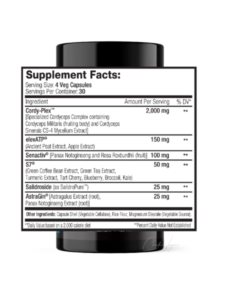 ReVO2 Wirkstoffe pro Tagesdosis – Cordy-Plex 2000mg, elevATP 150mg, Senactiv 100mg, S7 50mg, Salidrosid 25mg, AstraGin 25mg