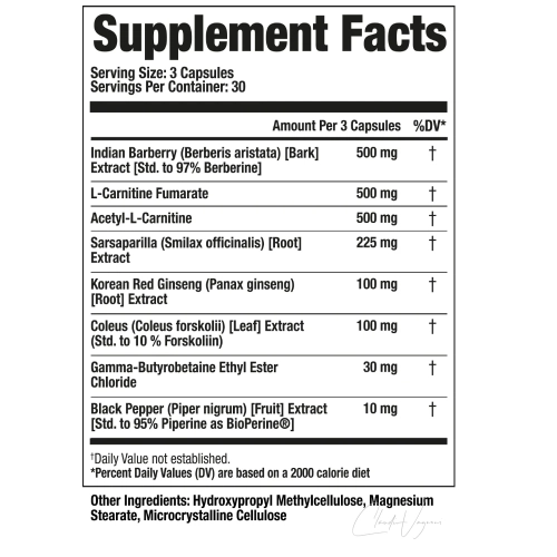 Lean Muscle – Berberin 500mg, L-Carnitin Fumarat 500mg, Acetyl-L-Carnitin 500mg, Coleus forskohlii 10% Forskolin, GBB, BioPerine