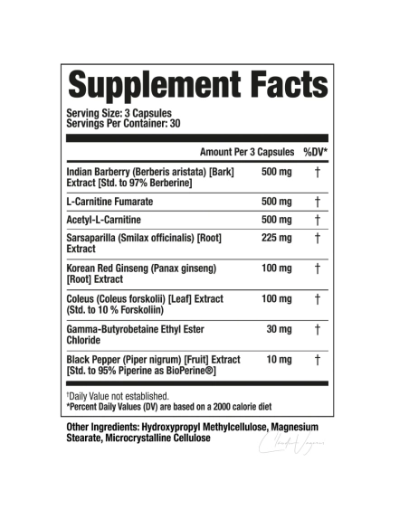 Lean Muscle – Berberin 500mg, L-Carnitin Fumarat 500mg, Acetyl-L-Carnitin 500mg, Coleus forskohlii 10% Forskolin, GBB, BioPerine