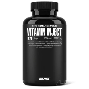 Multivitamin Kapseln mit Coenzym Q10 und NAD von Big Zone Vitamin Inject Dose mit 120 veganen Kapseln