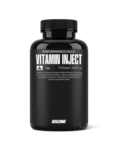 Multivitamin Kapseln mit Coenzym Q10 und NAD von Big Zone Vitamin Inject Dose mit 120 veganen Kapseln