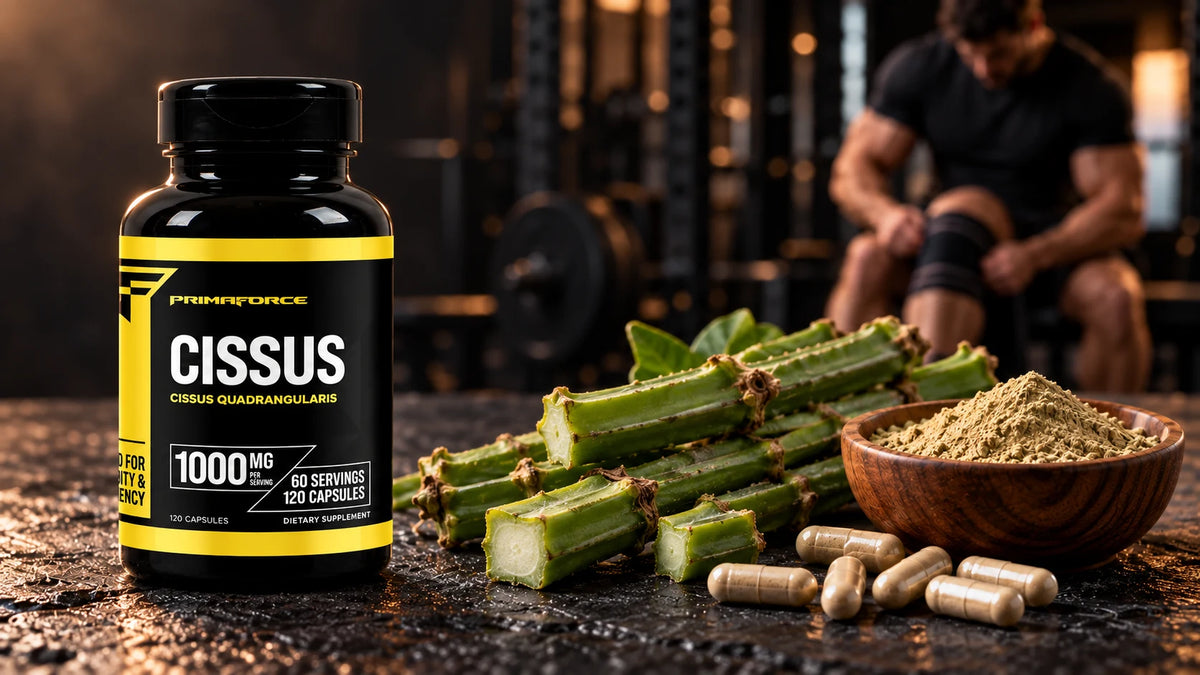 Cissus quadrangularis Stängel und Pulver neben PrimaForce Cissus 1'000mg Kapseln für Gelenke