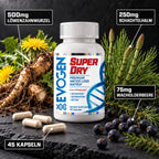 Evogen Super Dry – 500mg Löwenzahnwurzel, 250mg Schachtelhalm, 75mg Wacholderbeere, 45 Kapseln