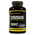 PrimaForce Cissus Dose mit 120 Kapseln, Cissus Quadrangularis 1000mg Extrakt standardisiert auf 40 % Ketosterone