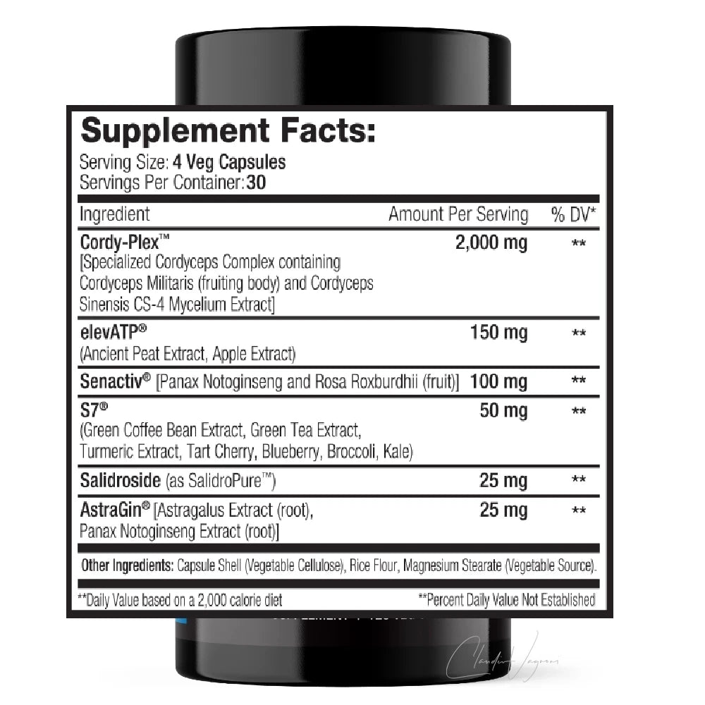 SNS ReVO2 Wirkstoffe pro Tagesportion: 2000mg Cordyceps, 150mg elevATP, 50mg S7, 25mg Salidrosid und 25mg AstraGin