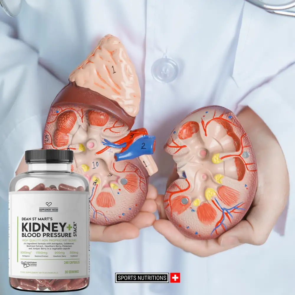 Visualisierung der Nierenfunktion mit Supplement Needs Kidney & Blood Pressure Stack – optimaler Schutz für Sportler, Bodybuilder und Herz-Kreislauf-System